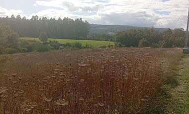 PARCELA UBICADA A 6 KM DE LA UNION, SECTOR CUDICO