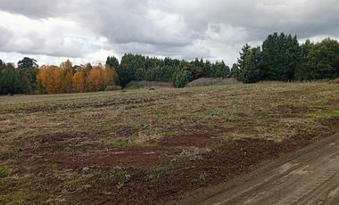 PARCELA UBICADA A 6 KM DE LA UNION, SECTOR CUDICO