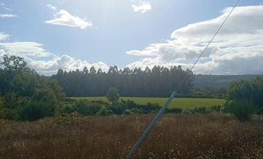 PARCELA UBICADA A 6 KM DE LA UNION, SECTOR CUDICO