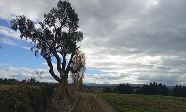 PARCELA UBICADA A 6 KM DE LA UNION, SECTOR CUDICO