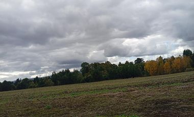 PARCELA UBICADA A 6 KM DE LA UNION, SECTOR CUDICO