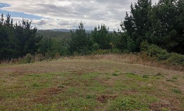 PARCELA UBICADA A 6 KM DE LA UNION, SECTOR CUDICO