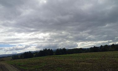 PARCELA UBICADA A 6 KM DE LA UNION, SECTOR CUDICO