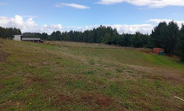 PARCELA UBICADA A 6 KM DE LA UNION, SECTOR CUDICO