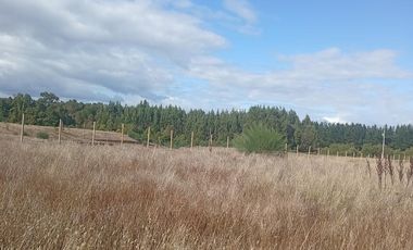 PARCELA UBICADA A 6 KM DE LA UNION, SECTOR CUDICO