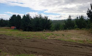 PARCELA UBICADA A 6 KM DE LA UNION, SECTOR CUDICO