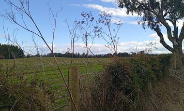 PARCELA UBICADA A 6 KM DE LA UNION, SECTOR CUDICO