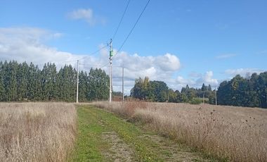 PARCELA UBICADA A 6 KM DE LA UNION, SECTOR CUDICO