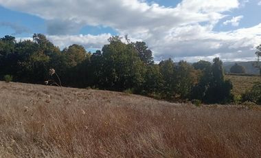 PARCELA UBICADA A 6 KM DE LA UNION, SECTOR CUDICO