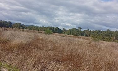 PARCELA UBICADA A 6 KM DE LA UNION, SECTOR CUDICO