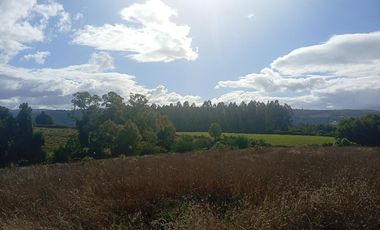 PARCELA UBICADA A 6 KM DE LA UNION, SECTOR CUDICO