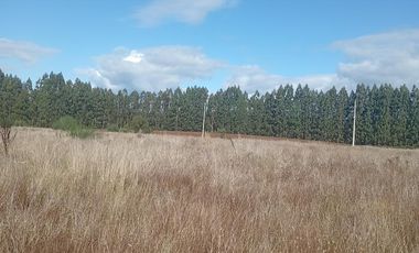 PARCELA UBICADA A 6 KM DE LA UNION, SECTOR CUDICO