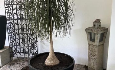 Cuarto Renta La Herradura