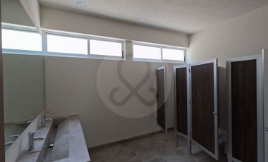 Fraile  Departamento en renta en Ciudad Adolfo López Mateos