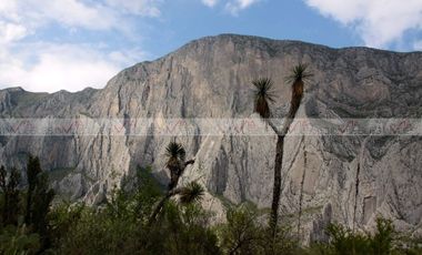 Rincón de la Huasteca