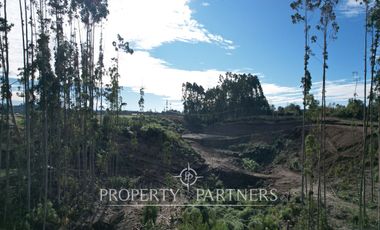 Terreno en Condominio Yuntas Viejas – Nueva Braunau, Puerto Varas