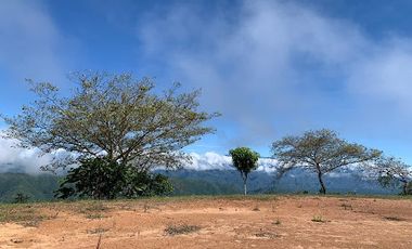 VENTA de LOTES en SAN JERONIMO