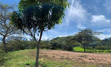 VENTA de LOTES en SAN JERONIMO