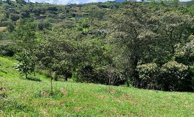 VENTA de LOTES en SAN JERONIMO