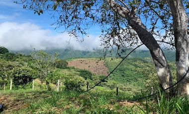 VENTA de LOTES en SAN JERONIMO