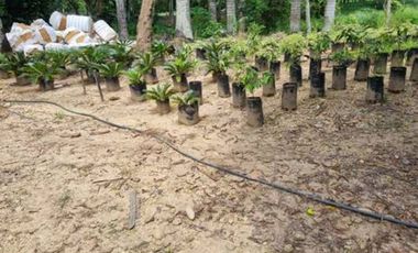 VENTA de LOTES en MELGAR