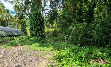 VENTA de LOTES en MELGAR