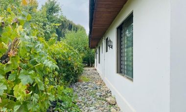 SECTOR PALMILLA