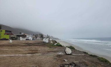 ACOGEDOR ESTUDIO FRENTE AL MAR