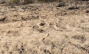 Venta de Terreno Rustico Amozoc, Puebla-