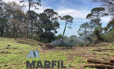 52 Hectáreas en Venta a 5km de Montitlan Cuauhtémoc Colima