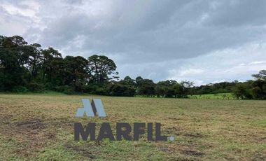 52 Hectáreas en Venta a 5km de Montitlan Cuauhtémoc Colima