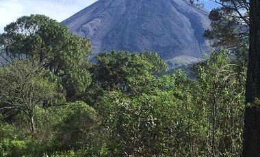 52 Hectáreas en Venta a 5km de Montitlan Cuauhtémoc Colima