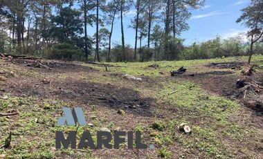 52 Hectáreas en Venta a 5km de Montitlan Cuauhtémoc Colima