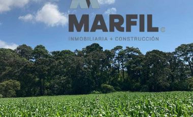 52 Hectáreas en Venta a 5km de Montitlan Cuauhtémoc Colima