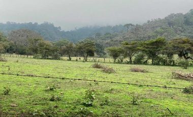 52 Hectáreas en Venta a 5km de Montitlan Cuauhtémoc Colima