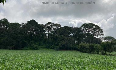 52 Hectáreas en Venta a 5km de Montitlan Cuauhtémoc Colima