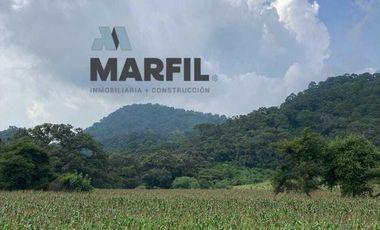 52 Hectáreas en Venta a 5km de Montitlan Cuauhtémoc Colima