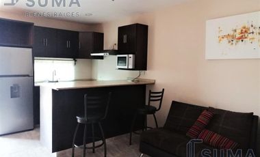 Departamento Amueblado en Renta en Col. Nuevo Aeropuerto, Tampico Tamaulipas.