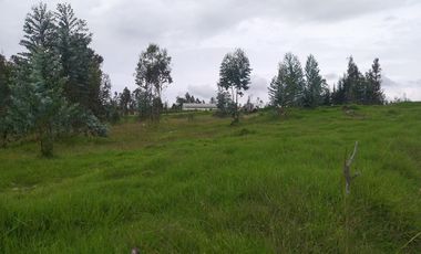 Vendo Lindos Terrenos de 2500 m2 La Merced - Valle de Los Chillos