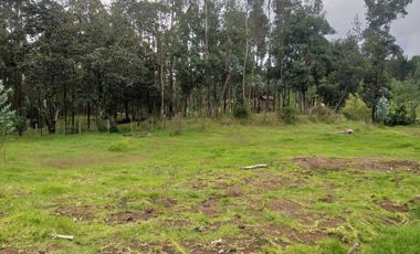 Vendo Lindos Terrenos de 2500 m2 La Merced - Valle de Los Chillos