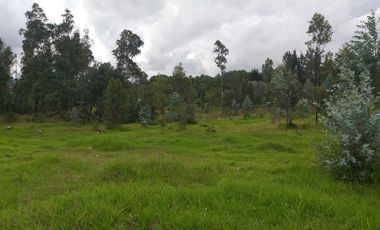 Vendo Lindos Terrenos de 2500 m2 La Merced - Valle de Los Chillos