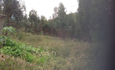 Venta Terreno de 9 hectáreas en Cayambe sector Guachalá