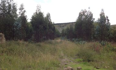 Venta Terreno de 9 hectáreas en Cayambe sector Guachalá