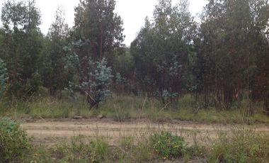 Venta Terreno de 9 hectáreas en Cayambe sector Guachalá