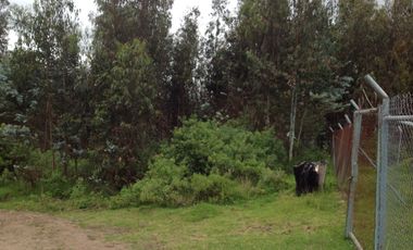 Venta Terreno de 9 hectáreas en Cayambe sector Guachalá