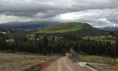 Venta Terreno de 9 hectáreas en Cayambe sector Guachalá