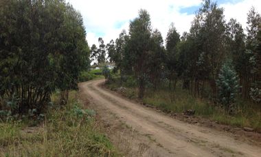 Venta Terreno de 9 hectáreas en Cayambe sector Guachalá