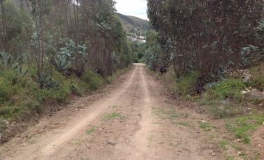 Venta Terreno de 9 hectáreas en Cayambe sector Guachalá