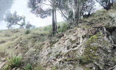 TERRENO EN VENTA EN URBANIZACIÓN EXCLUSIVA EN FICOA