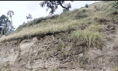 TERRENO EN VENTA EN URBANIZACIÓN EXCLUSIVA EN FICOA